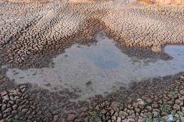 dry land in the dry season Drought, ground cracks, no hot water.Natural Drought concept