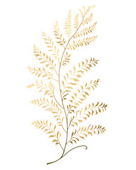 Asparagus fern, Hand drawn wedding card