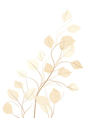 Beech, Hand drawn wedding card