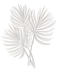 Bismarck palm, Hand drawn wedding card