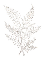 Lace fern, Hand drawn wedding card
