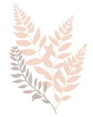 Plumosa fern, Hand drawn wedding card