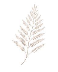 Silver fern, Hand drawn wedding card