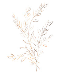 Fototapeta premium Willow, Hand drawn wedding card