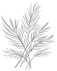 Areca palm, Hand drawn wedding card
