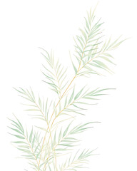 Areca palm, Hand drawn wedding card