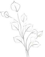 Arrowhead vine, Hand drawn wedding card