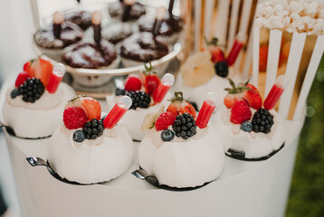 Outdoor wedding dessert display featuring beautifully decorated homemade cakes and sweets made from fresh ingredients set against a blurred backdrop 