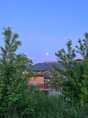 Evening mountain landscape with full moon on horizon behind trees