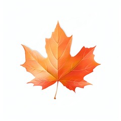 Obraz premium A crisp autumn maple leaf, its edges tinged with red and orange hues, isolated on a white background to capture the vibrant transition of seasons. cartoon drawing, water color style.