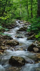 Forest stream flowing over smooth rocks calming water sounds