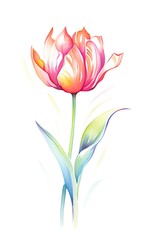 Fototapeta premium Capture the elegance of a long shot tulip in a vivid watercolor style, emphasizing its graceful curves and vibrant colors Showcase the delicate details of the petals, creating a harmonious composition