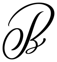 Vector calligraphy hand drawn letter B logo. Script font. Handwritten brush style