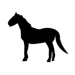 Of vector horses silhouettes