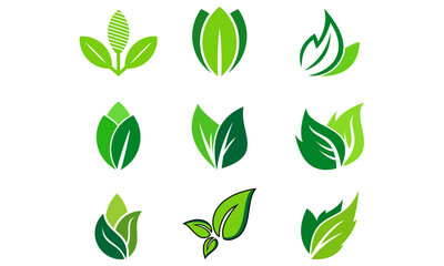 set icon green leaf logo