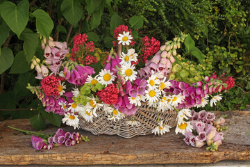 Still life of foxgloves and daisies in a basket on a wooden table © Erika