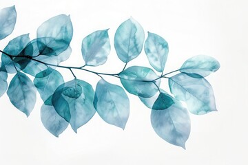 A minimalist nature scene featuring watercolor branch leaves in subtle gradients