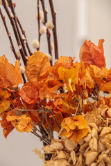 Dried flowers still life for decoration in Rio de Janeiro.