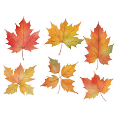 Autumn Illustrator Artwork