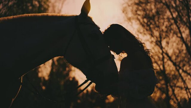 dark shadow unrecognizable silhouette of woman with horse. Fantasy happy girl hugs her horse with love care. Fairy Queen hand hold muzle pet. nature sunset forest trees magic sun rays light sky 4k