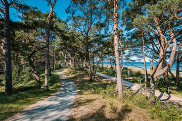 Promenade Baabe - Göhren, Ostsee Insel Rügen