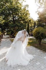 A bride and groom are kissing in front of a tree. The bride is wearing a white dress and the groom is wearing a white shirt