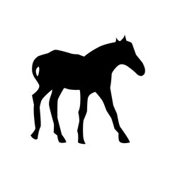 Horse silhouettes graphic vector illustration