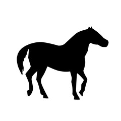 Obraz premium Horse silhouettes graphic vector illustration