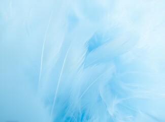 Fototapeta na wymiar Light blue feathers template
