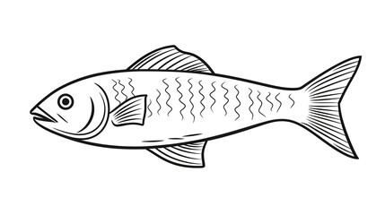Fish isolated on a white background in a simple doodling style