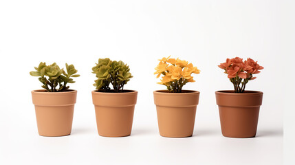 White background with isolated flower pots for decoration