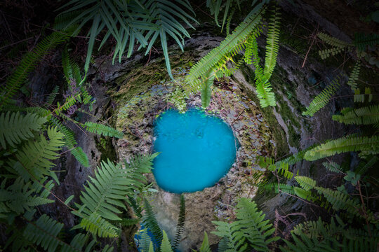 A Well at Blue Grotto Illuminated at Night, Williston, Florida