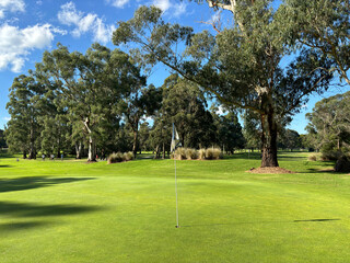 Australian Golf course green with natural forest and ambient sunlight