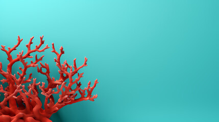 Red coral with space for text