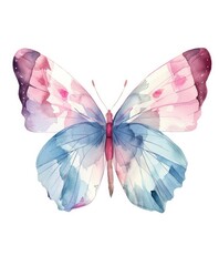 watercolor butterfly, pink and light blue pastel colors, white background