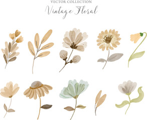 Watercolor Vintage Floral Vector Collection