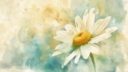 A watercolor painting of a chamomile flower, with soft, flowing brushstrokes and a dreamy, ethereal quality.