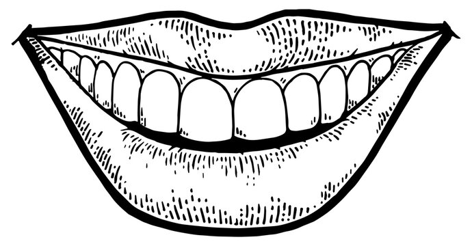 recommend clip art: Female smile mouth sketch engraving PNG illustration. Scratch board style imitation. Black and white hand drawn image.