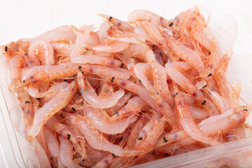 ［静岡県産］　桜えび　生食用