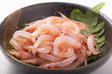 ［静岡県産］　桜えび　生食用