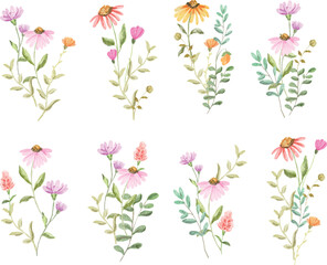 Watercolor Wildflower Vector Collection