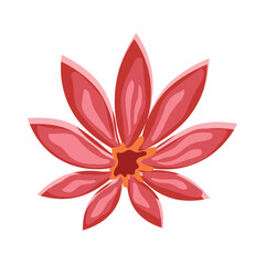 Pink red flower illustration, isolated on white background - Vector