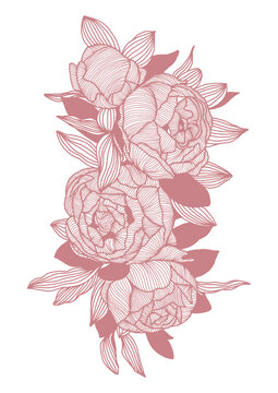Vector editable poster with pionies in lined art