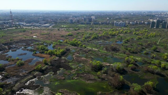 High angle drone shot of Vacaresti Nature Park in Bucharest. Natural reserve in the middle of the capital city of Romania. Swamp, bird's nests and paths for hiking and nature exploration.
