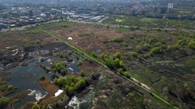 High angle drone shot of Vacaresti Nature Park in Bucharest. Natural reserve in the middle of the capital city of Romania. Swamp, bird's nests and paths for hiking and nature exploration.
