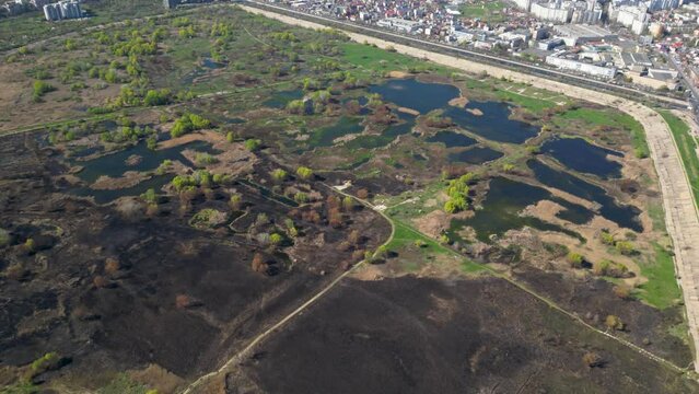 High angle drone shot of Vacaresti Nature Park in Bucharest. Natural reserve in the middle of the capital city of Romania. Swamp, bird's nests and paths for hiking and nature exploration.
