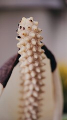 caterpillar on a branch