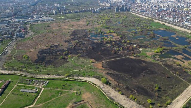 High angle drone shot of Vacaresti Nature Park in Bucharest. Natural reserve in the middle of the capital city of Romania. Swamp, bird's nests and paths for hiking and nature exploration.
