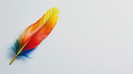 A minimalist background with a single, colorful bird feather against a clean white background, representing the beauty and diversity of wildlife.