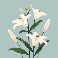 Elegant blooming lilies with buds, cut out